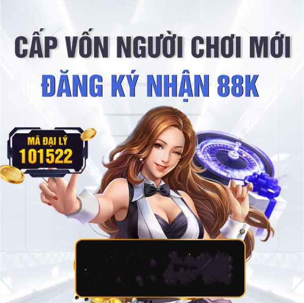 dom88