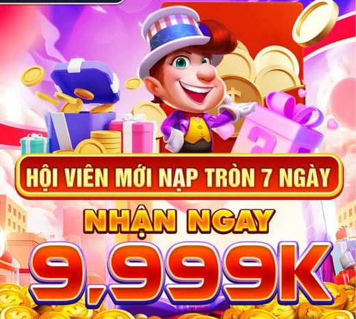 dom88